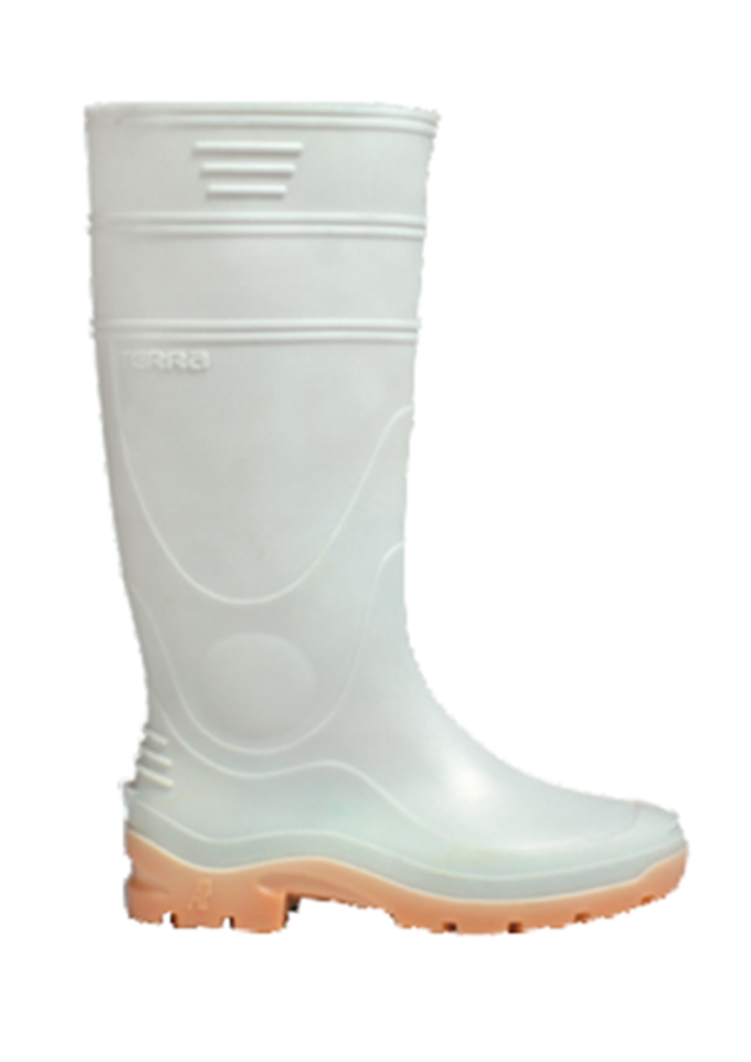 Thumbnail AP TERRA1 3